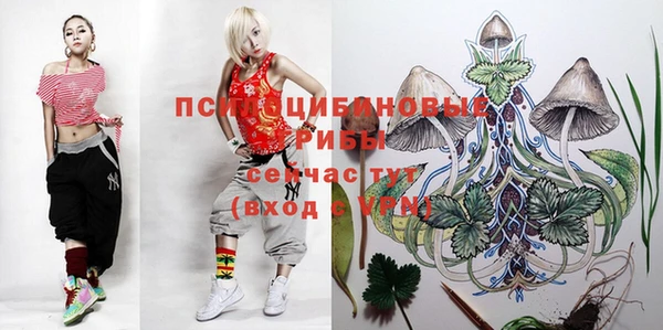 меф Алексин